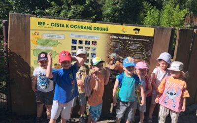 Před prázdninami do ZOO